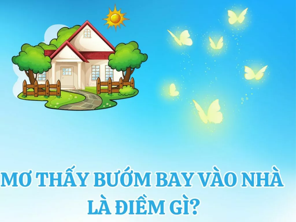 Bướm Bay Vào Nhà Số Mấy? Giải Mã Giấc Mơ Để Thắng Lớn! 1 giai ma giac mo thay buom bay vao nha