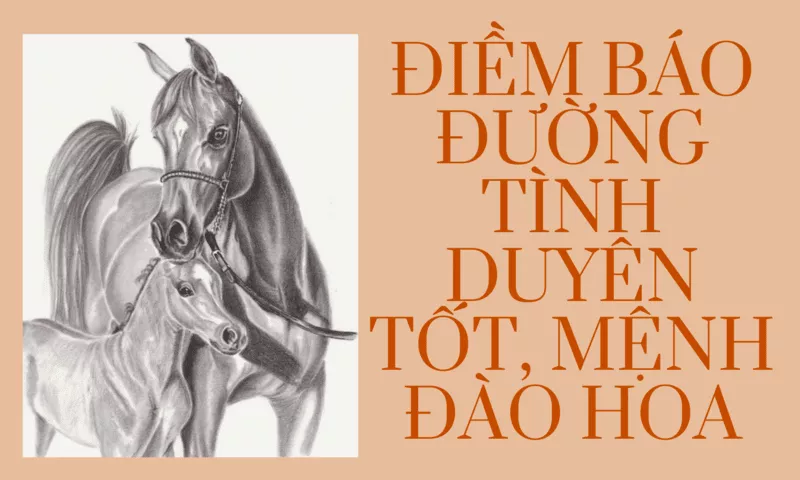 Mơ Thấy Ngựa Đánh Con Gì? Giải Mã Ý Nghĩa Giấc Mơ Ngựa 3 Mơ thấy 2 con ngựa đánh con 51 - 15