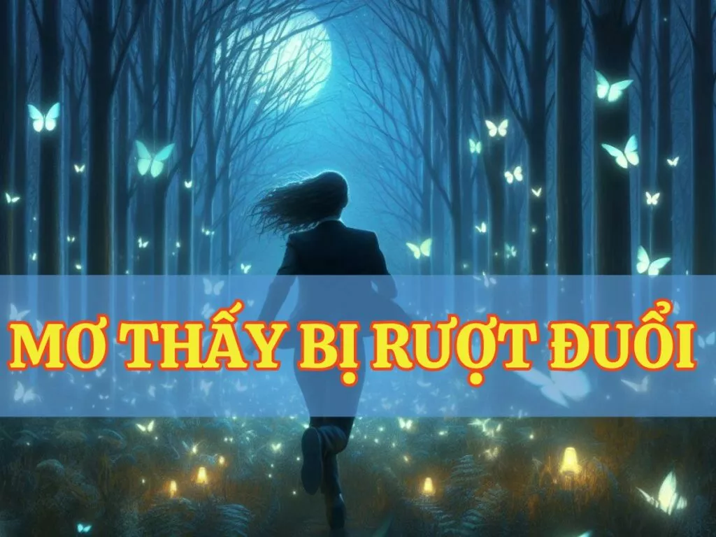 Bị Rượt Đuổi Trong Giấc Mơ: Đánh Số Gì Lô Đề? 22 mo thay bi ruot duoi