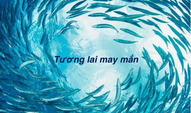 Mơ Thấy Cá Đánh Con Gì? Giải Mã Giấc Mơ Cá 8 Mơ thấy cá bơi trong nước