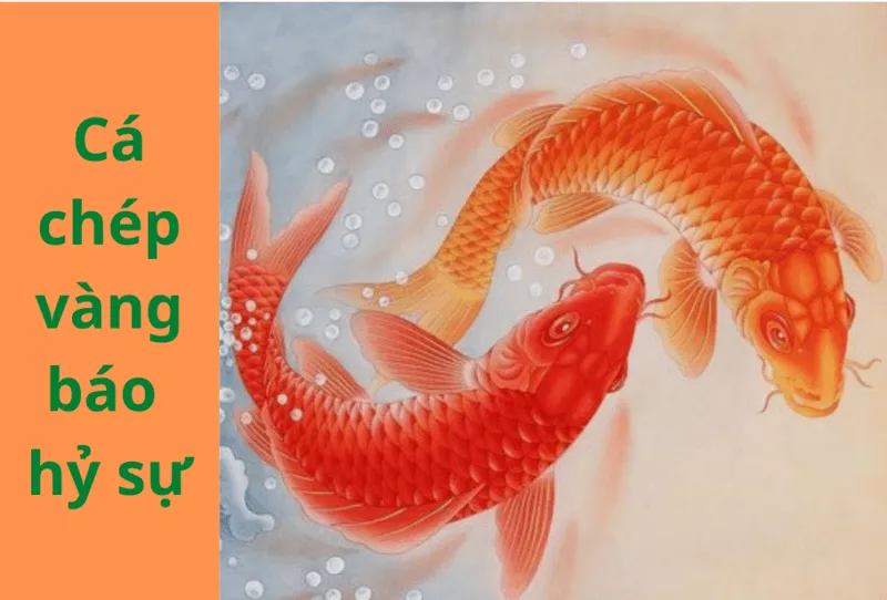 Mơ Thấy Cá Đánh Con Gì? Giải Mã Giấc Mơ Cá 3 Mơ thấy cá chép vàng