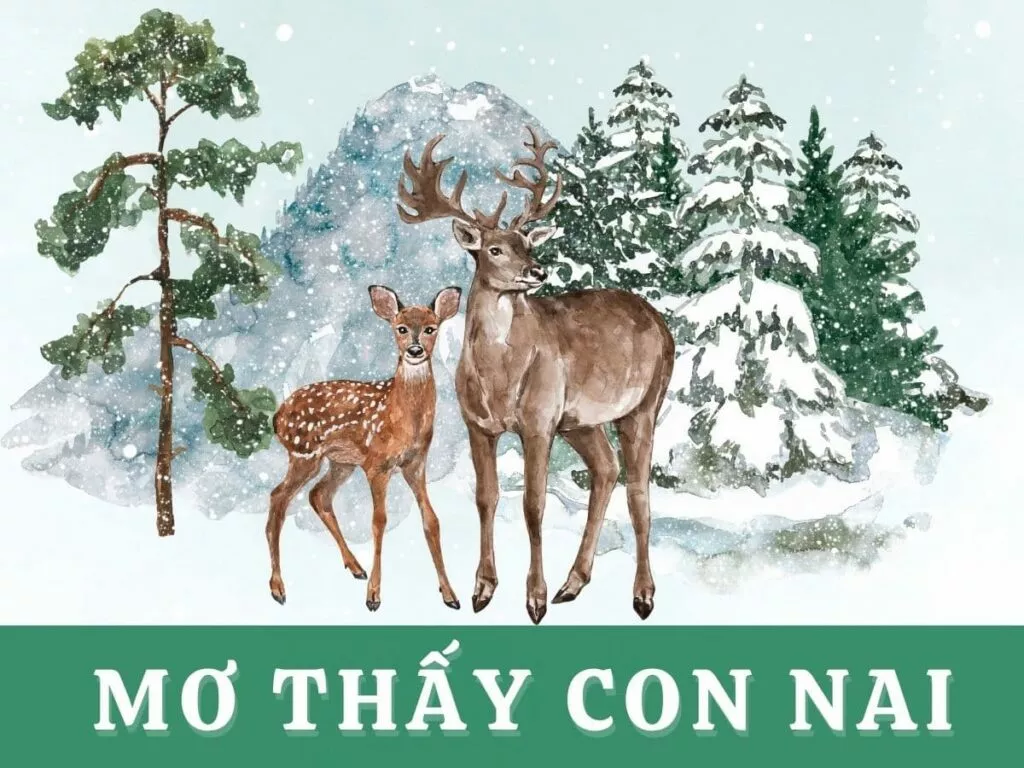 Giấc Mơ Thấy Nai: Ý Nghĩa & Số Đánh May Mắn 15 mo thay con nai