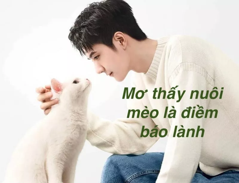 Giấc mơ thấy mèo: Ý nghĩa và đánh con gì? 7 Mơ thấy mình nuôi mèo