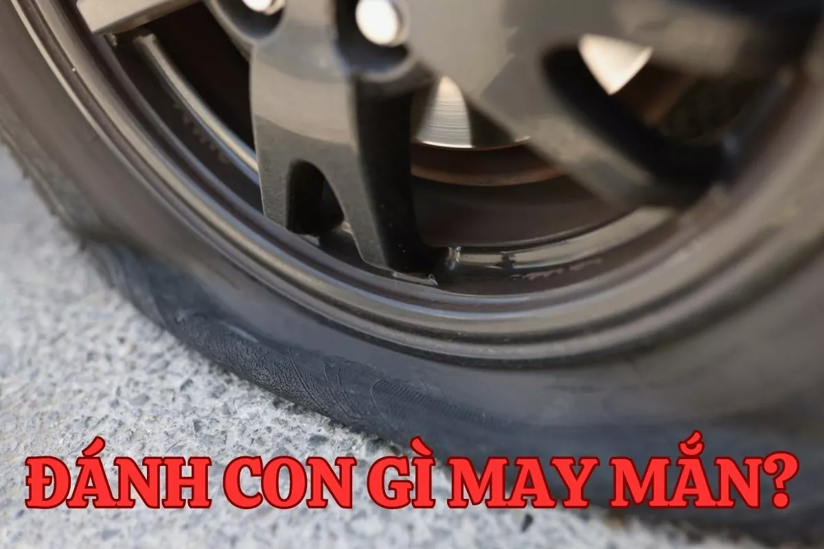 Mơ thấy xe bị thủng xăm: Giải mã và con số may mắn! 5 Mơ xe bị thủng xăm đánh con gì may mắn?