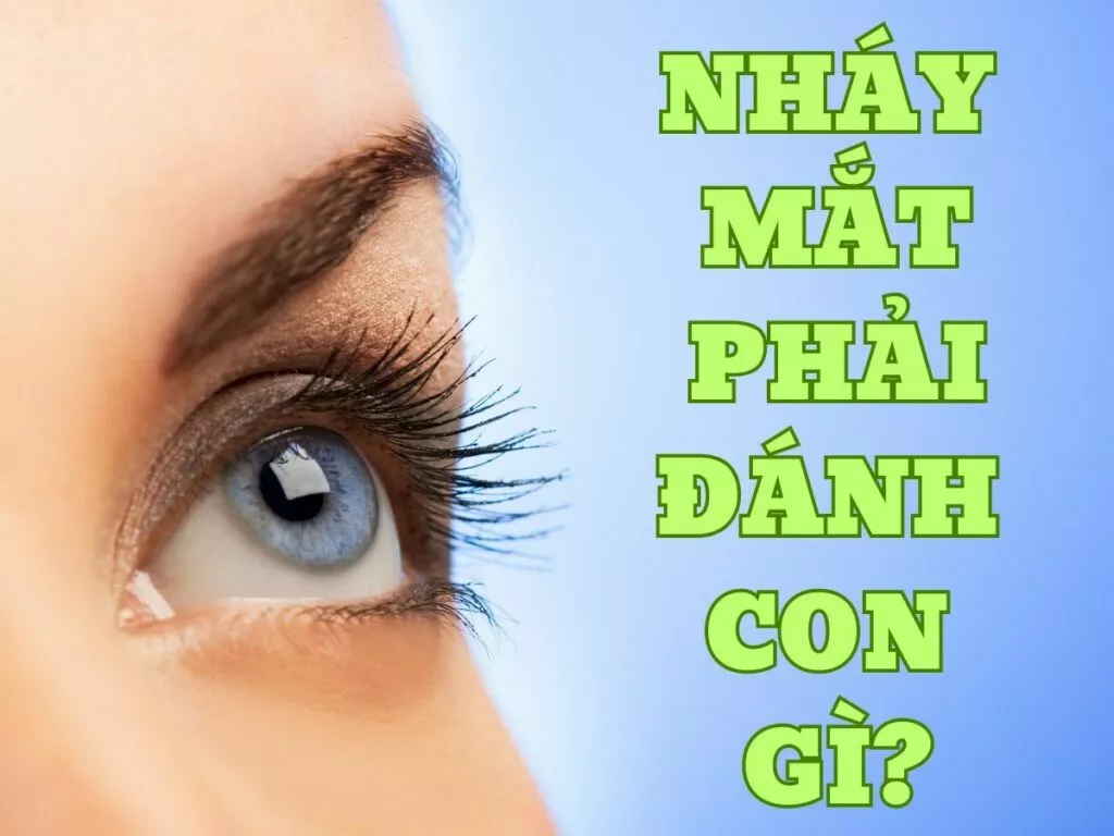 "Nháy Mắt Phải Đánh Con Gì Để Trúng Lớn? Điềm Báo Chi Tiết" 39 nhay mat phai danh con gi