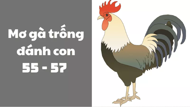 Mơ Thấy Gà Đánh Con Gì? Giải Mã Giấc Mơ Gà Chi Tiết 3 mơ thấy gà trống đánh con 55 57