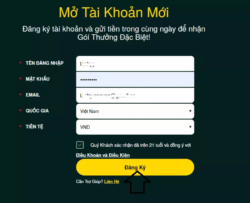 3 Bước Đăng Ký V9bet Dễ Dàng Nhất 2023 4 nhập thông tin đăng ký v9bet