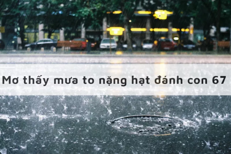 Giải mã giấc mơ thấy bão và con số may mắn đi kèm 3 mơ thấy mưa to