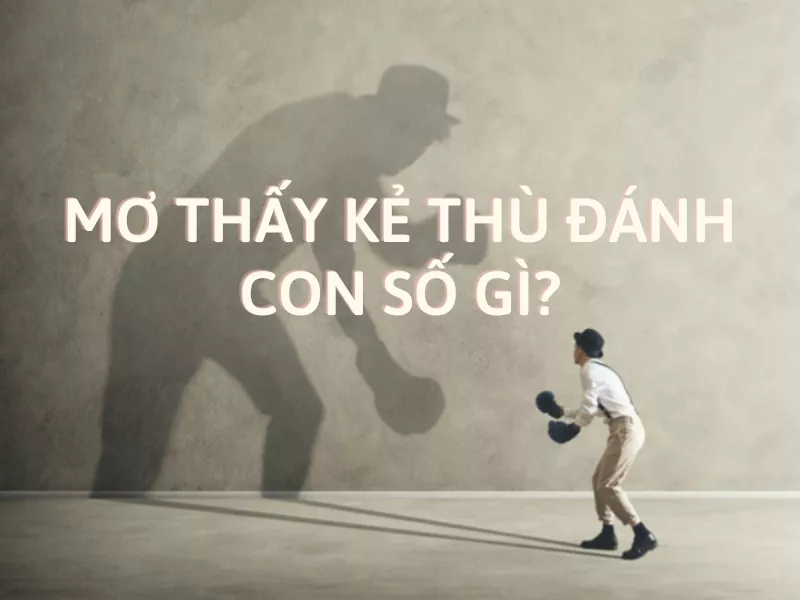 Điềm báo mơ thấy kẻ thù và con số liên quan 5 mơ thấy kẻ thù đánh con số gì