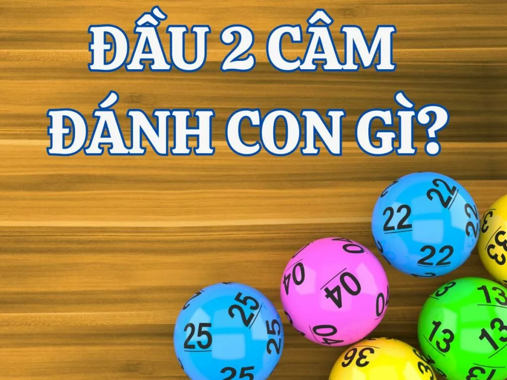 Đầu 2 Câm: Kinh Nghiệm Đánh Lô Con Gì Hiệu Quả? 2 Đầu 2 câm