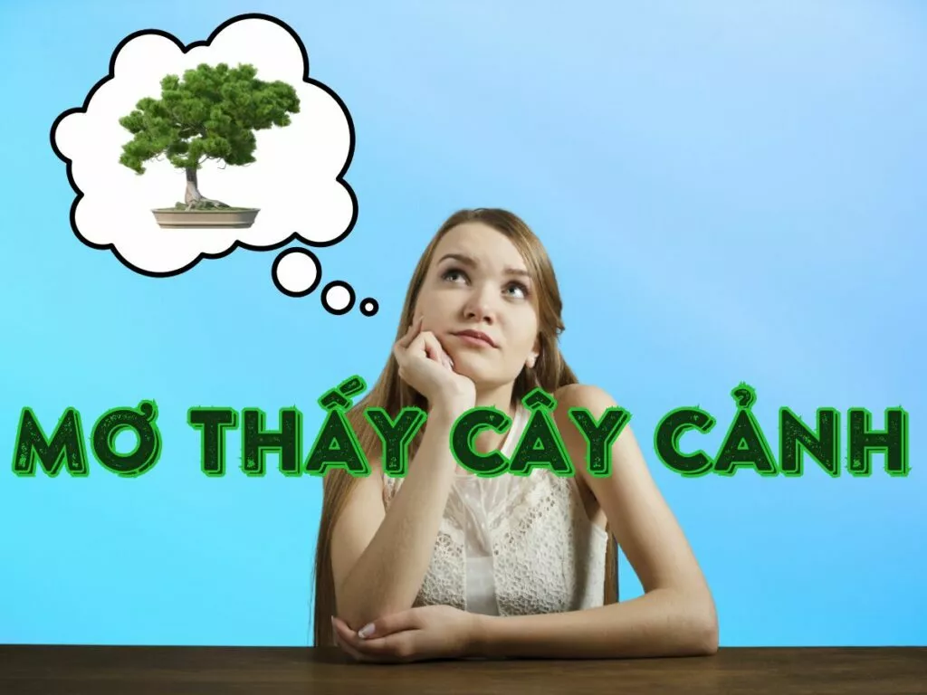 Dream About Cay Canh: Meaning and Lucky Numbers 1 Dream About Cay Canh: Meaning and Lucky Numbers editorial image
