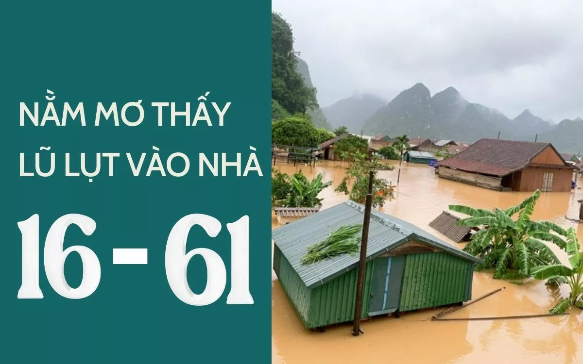 Mơ Thấy Lũ Lụt: Số Đánh và Điềm Báo Cuộc Sống 2 Mơ thấy lũ lụt vào nhà