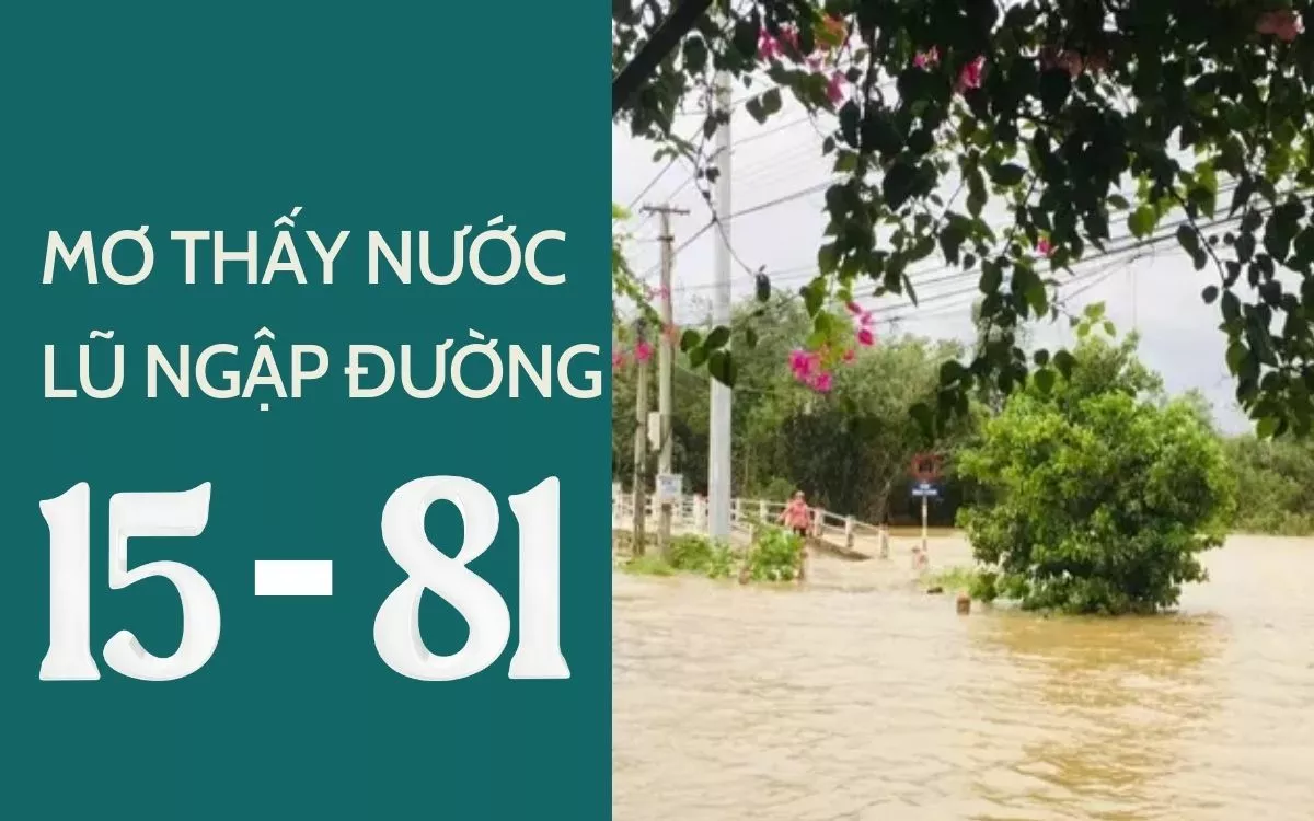 Mơ Thấy Lũ Lụt: Số Đánh và Điềm Báo Cuộc Sống 3 Ngủ mơ thấy nước lụt ngập đường và có cá