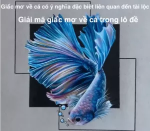 mơ thấy cá đánh con gì?