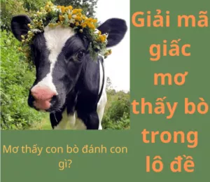 mơ thấy bò đánh con gì?