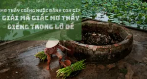 mơ thấy giếng nước đánh con gì?