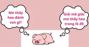 mơ thấy heo đánh con gì?