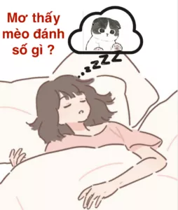 mơ thấy mèo