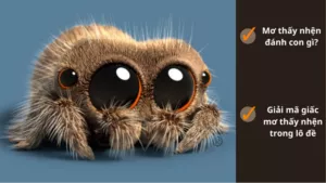 mơ thấy nhện đánh con gì?