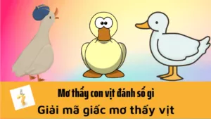 giải mã giấc mơ thấy con vịt