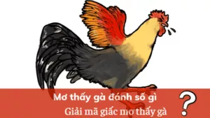 mơ thấy gà đánh số gì giải mã giấc mơ thấy gà