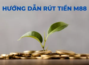 rut tien m88