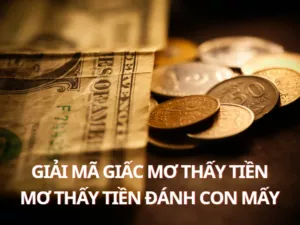 mo thay tien