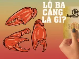 lô ba càng là gì