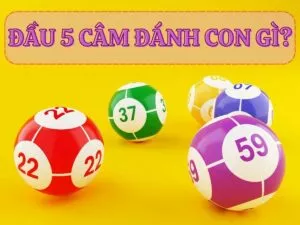 đầu 5 câm đánh con gì?