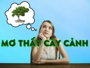 giải mã giấc mơ thấy cây cảnh
