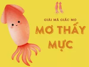 con mực số mấy? giải mã giấc mơ thấy con mực