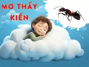 giải mã chi tiết về giấc mơ thấy kiến